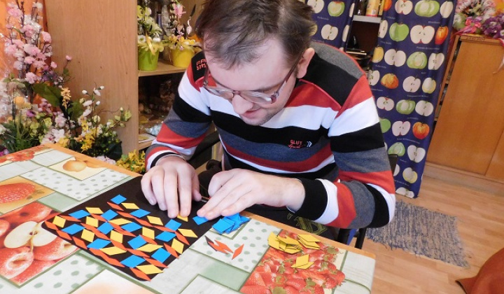 8. fotografia fotogalérie Starostlivosť / Rozvoj pracovných zručností - foto