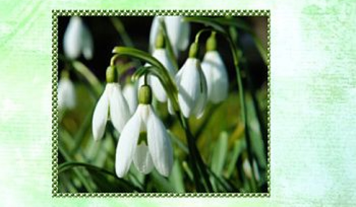 1. fotografia fotogalérie Náš časopis / Ročník 13, číslo 1/2020 - foto