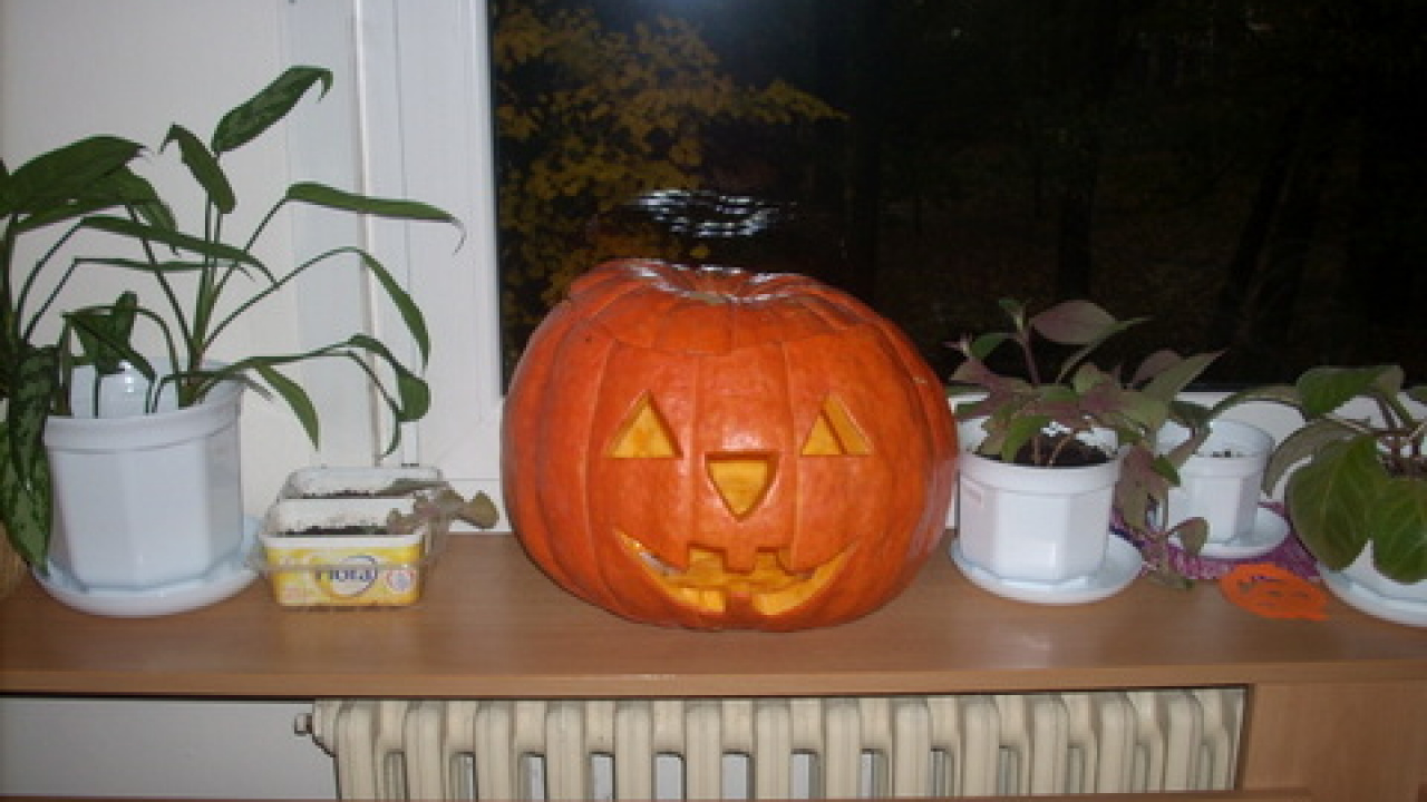 Fotografia fotogalérie Halloween v ANIMA DSS