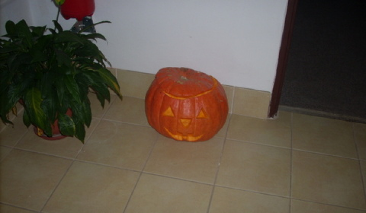 3. fotografia fotogalérie Halloween v ANIMA DSS