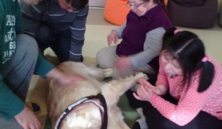 2. fotografia fotogalérie Canisterapia 2020 - 03.02.2020