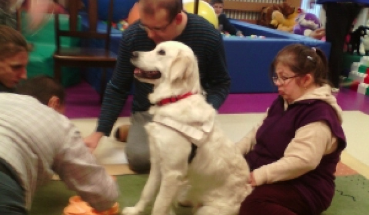 4. fotografia fotogalérie Canisterapia 2020 - 03.02.2020