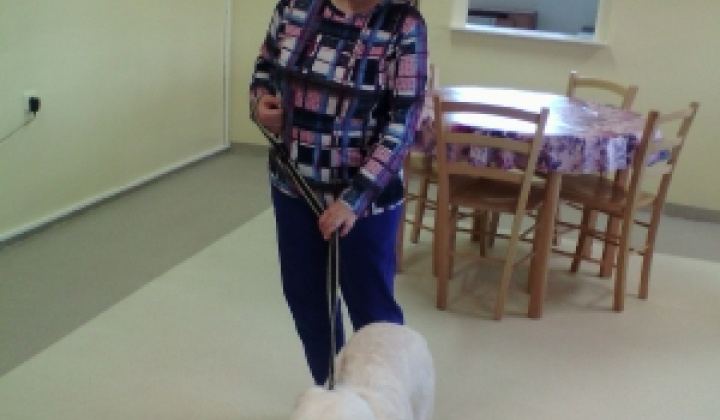 7. fotografia fotogalérie Canisterapia 2020 - 03.02.2020