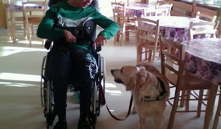 10. fotografia fotogalérie Canisterapia 2020 - 03.02.2020