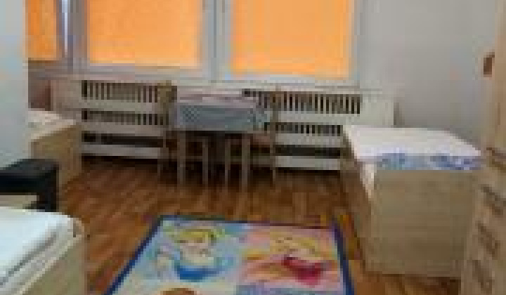 1. fotografia fotogalérie Útulok / Útulok v Michalovciach - foto