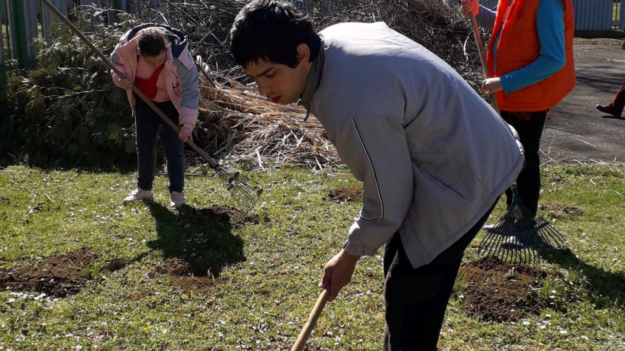 Fotografia fotogalérie Pracovná terapia