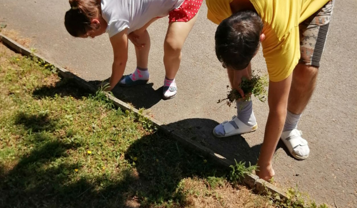 17. fotografia fotogalérie Pracovná terapia