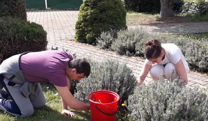 18. fotografia fotogalérie Pracovná terapia