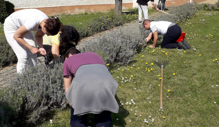 21. fotografia fotogalérie Pracovná terapia