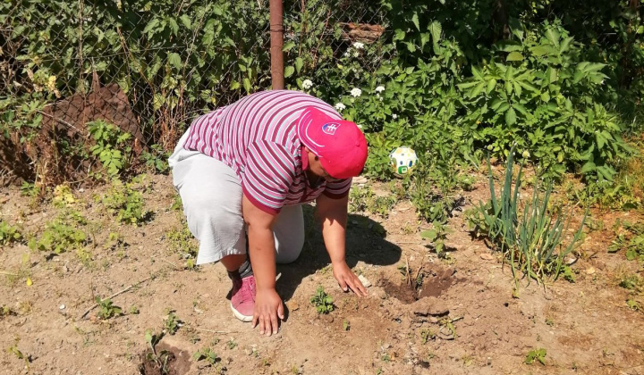 24. fotografia fotogalérie Pracovná terapia