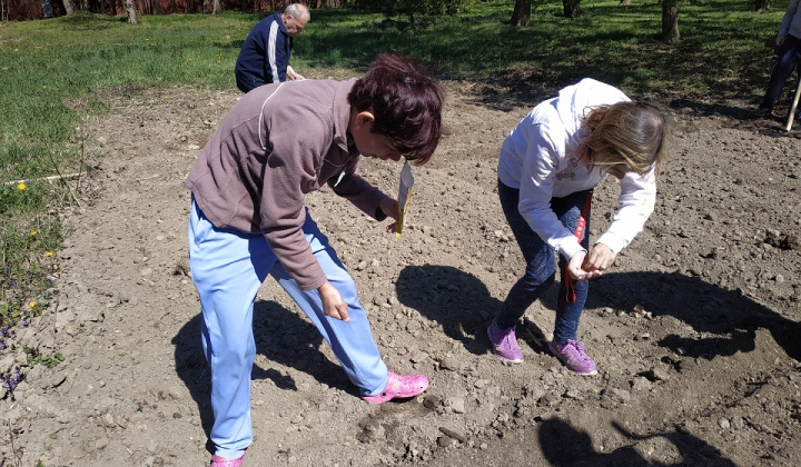 1. fotografia fotogalérie Rozvoj pracovných zručností