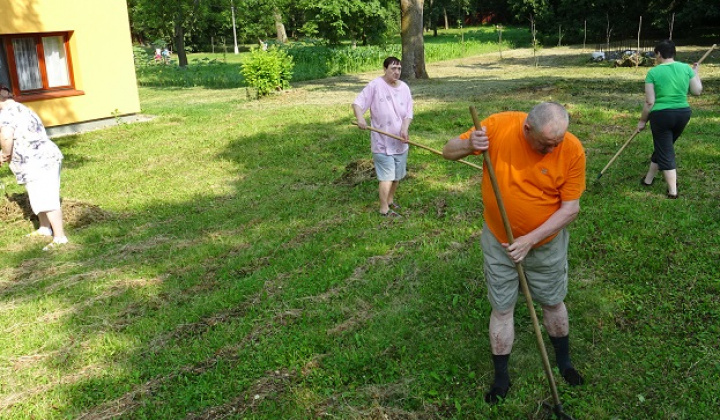 4. fotografia fotogalérie Rozvoj pracovných zručností