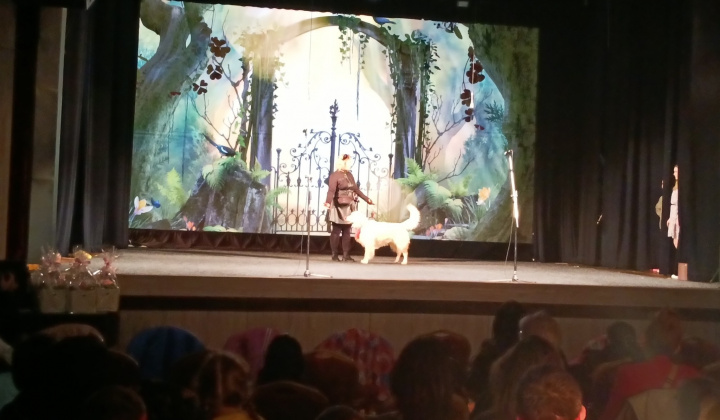 12. fotografia fotogalérie Integrácia s gráciou 2025 - foto