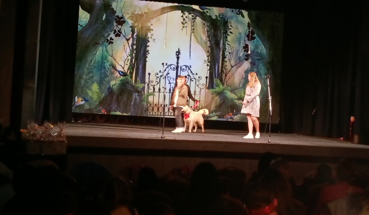 13. fotografia fotogalérie Integrácia s gráciou 2025 - foto