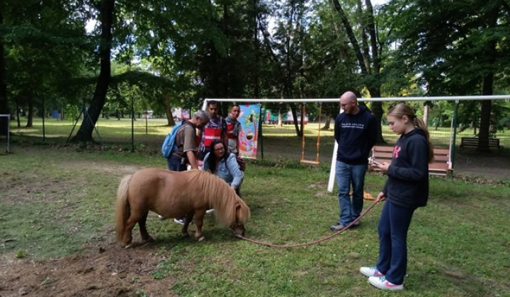 13. fotografia fotogalérie Športové hry - HARMONIA 2025 - foto