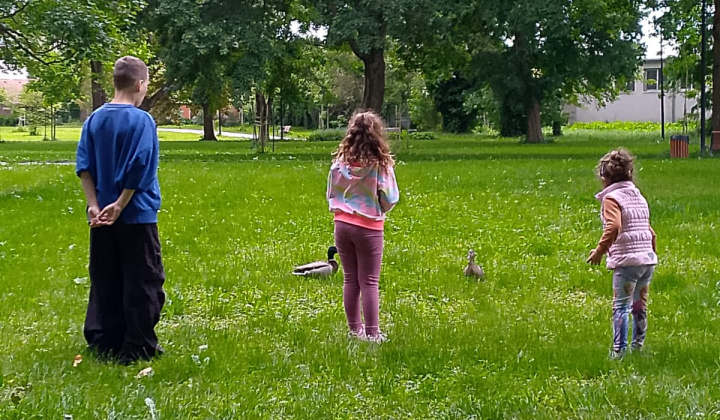 1. fotografia fotogalérie Aktuality - uvod / Beh za duševné zdravie - foto