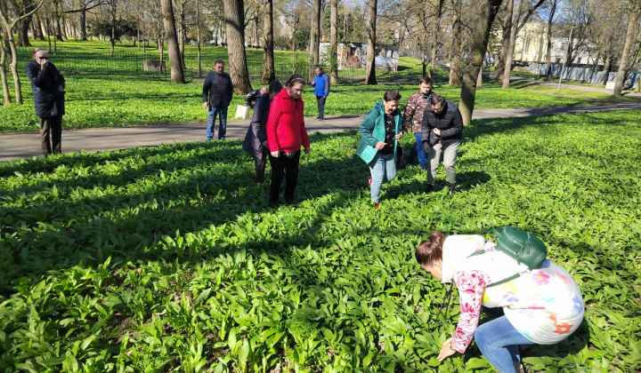 1. fotografia fotogalérie Medvedí cesnak - foto
