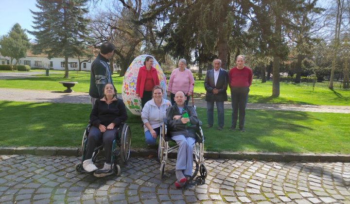 5. fotografia fotogalérie Medvedí cesnak - foto