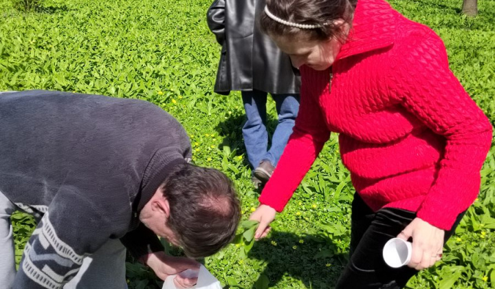 8. fotografia fotogalérie Medvedí cesnak - foto