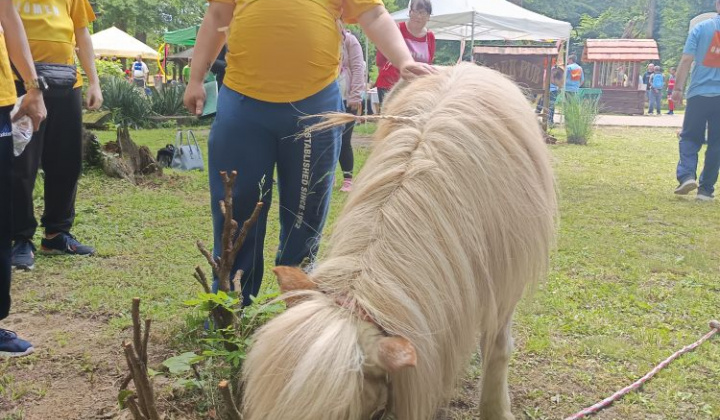 16. fotografia fotogalérie XII. Ročník športových hier pre prijímateľov sociálnych služieb ZSS - foto