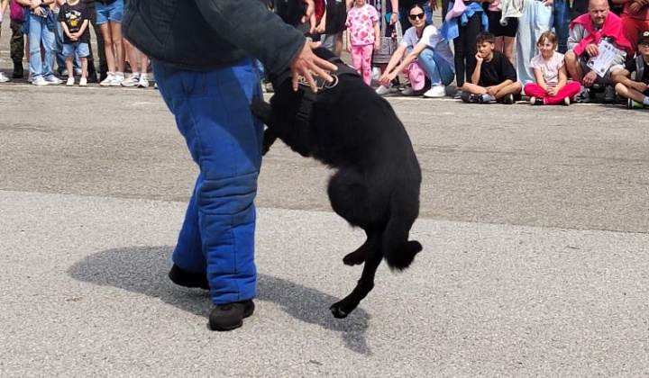 13. fotografia fotogalérie Deň otvorených dverí v trebišovských kasárňach - foto