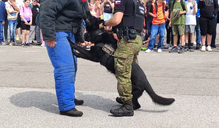 14. fotografia fotogalérie Deň otvorených dverí v trebišovských kasárňach - foto