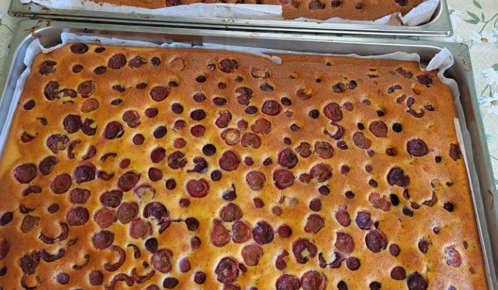 13. fotografia fotogalérie Čerešňová hrnčeková bublanina - foto