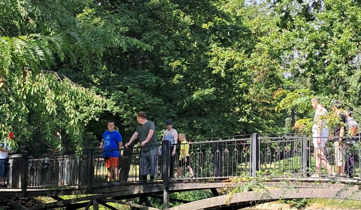 5. fotografia fotogalérie Zmrzlinové ochladenie - foto