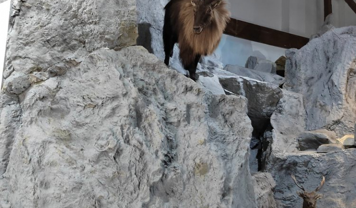 5. fotografia fotogalérie Návšteva trebišovského múzea - foto