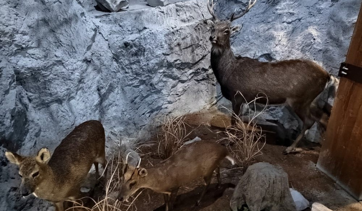 6. fotografia fotogalérie Návšteva trebišovského múzea - foto