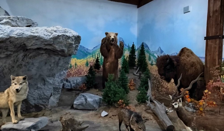 8. fotografia fotogalérie Návšteva trebišovského múzea - foto