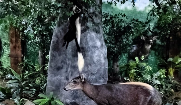 9. fotografia fotogalérie Návšteva trebišovského múzea - foto