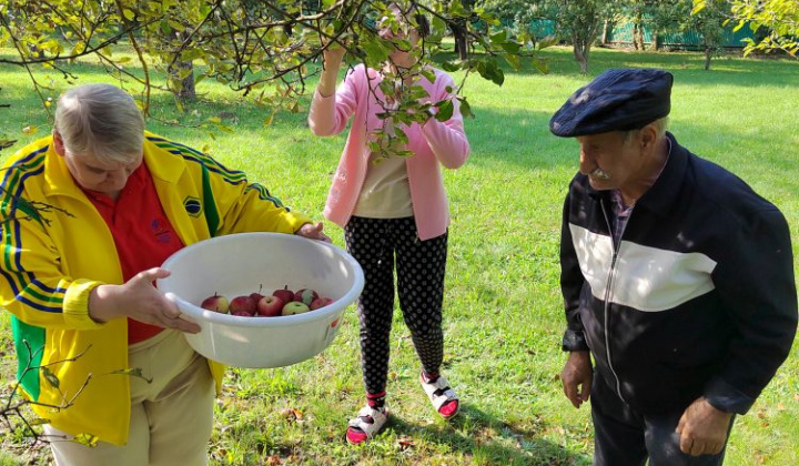 2. fotografia fotogalérie Jablkový Lumeňák - foto