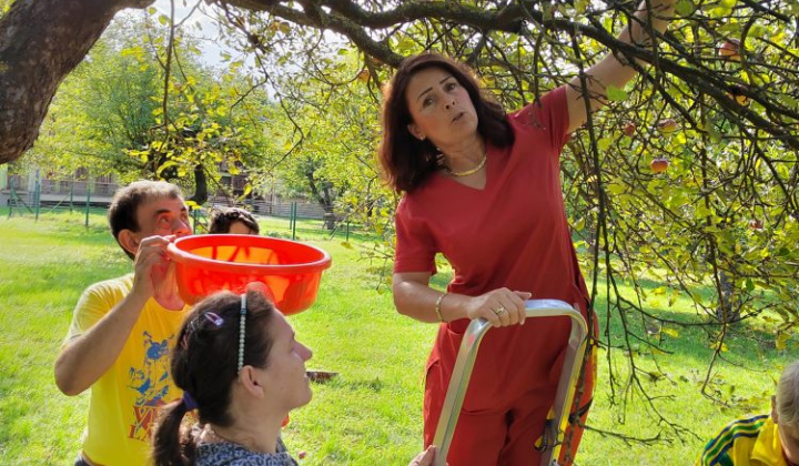 3. fotografia fotogalérie Jablkový Lumeňák - foto