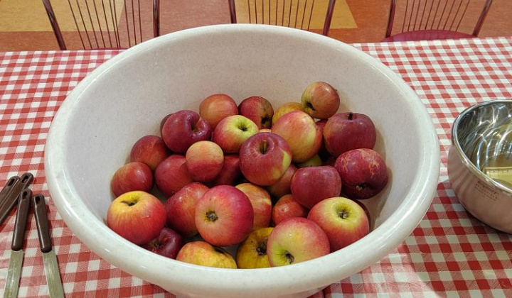 7. fotografia fotogalérie Jablkový Lumeňák - foto