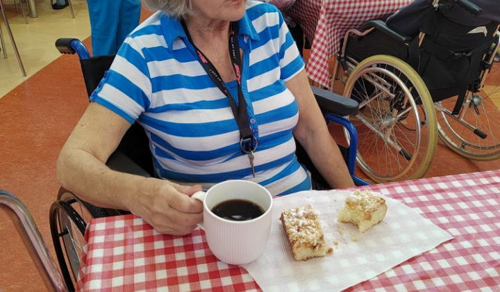 25. fotografia fotogalérie Jablkový Lumeňák - foto