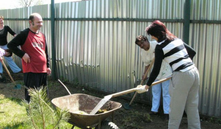 5. fotografia fotogalérie Spoločná brigáda - jarné upratovanie - foto