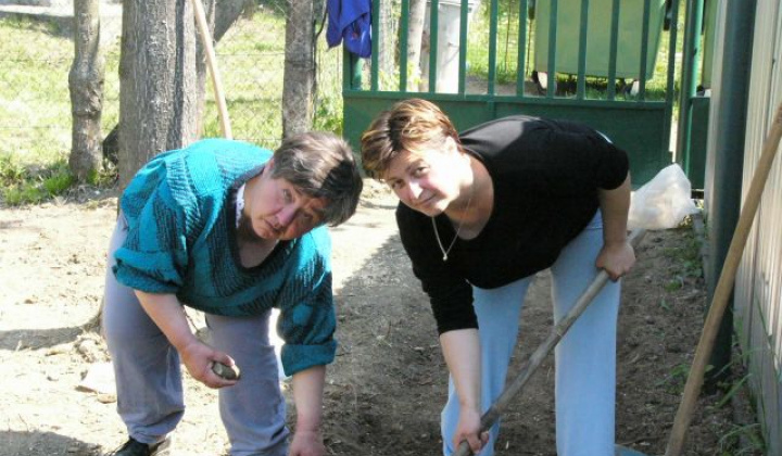 10. fotografia fotogalérie Spoločná brigáda - jarné upratovanie - foto