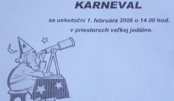 2. fotografia fotogalérie Karneval 2008 - foto