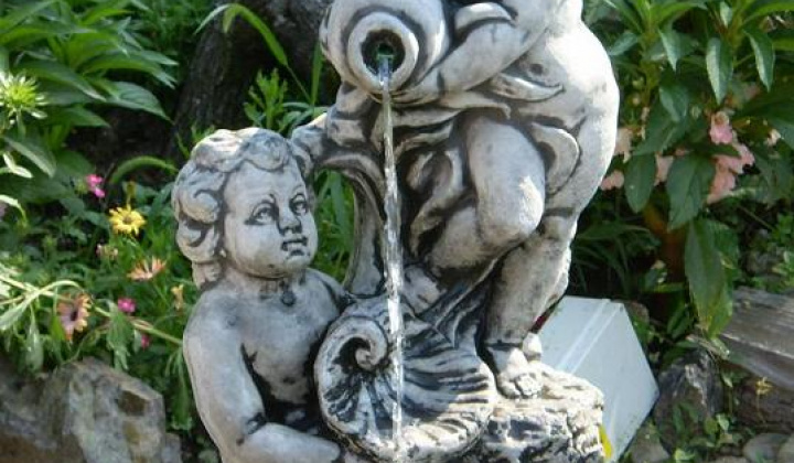 8. fotografia fotogalérie Naša fontána - foto