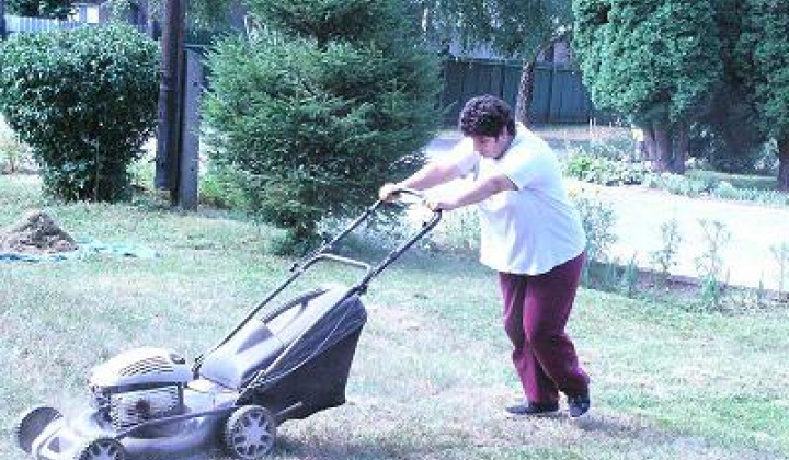 1. fotografia fotogalérie Klienti pri pracovných činnostiach - foto