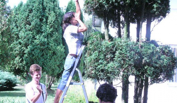 2. fotografia fotogalérie Klienti pri pracovných činnostiach - foto