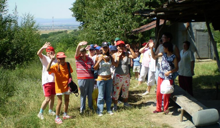 1. fotografia fotogalérie Výlet k lesu - foto