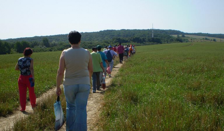 3. fotografia fotogalérie Výlet k lesu - foto