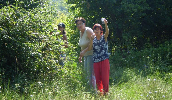 5. fotografia fotogalérie Výlet k lesu - foto