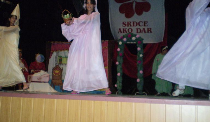 2. fotografia fotogalérie Srdce ako dar 2009 - foto