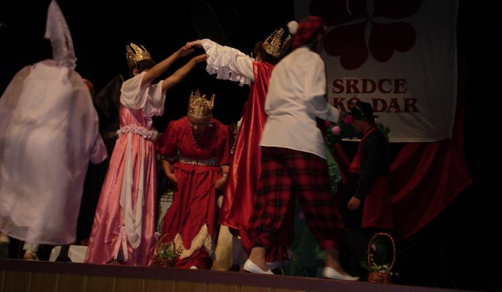 5. fotografia fotogalérie Srdce ako dar 2009 - foto