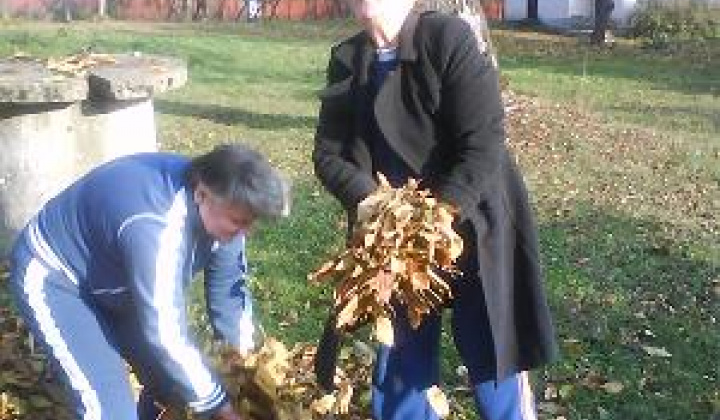 1. fotografia fotogalérie Úprava areálu - foto