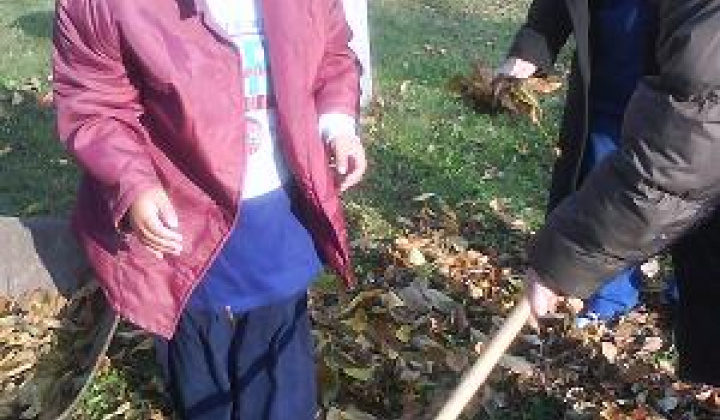 2. fotografia fotogalérie Úprava areálu - foto