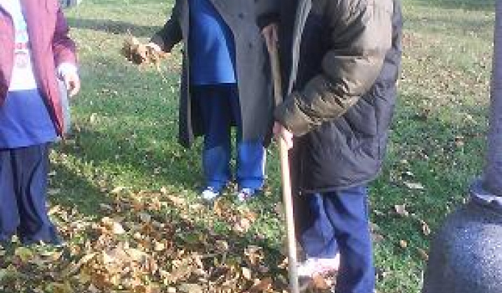 3. fotografia fotogalérie Úprava areálu - foto